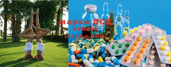 гашик Липки