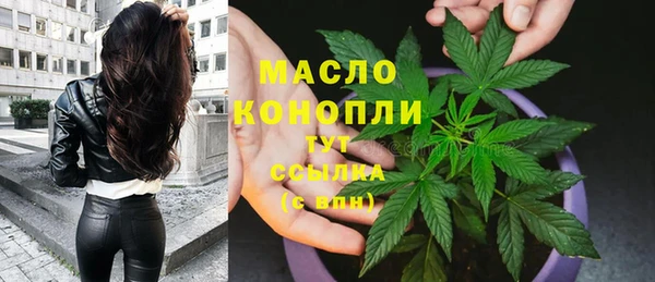 гашик Липки