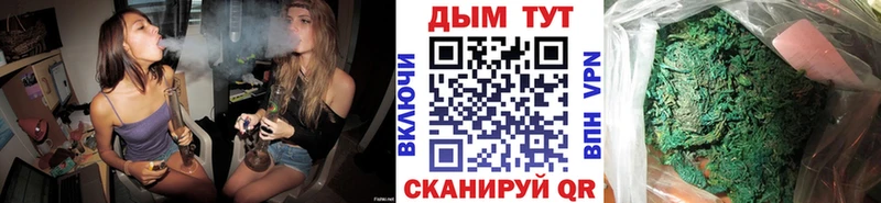 Купить закладки  Новоуральск  МАРИХУАНА сатива 